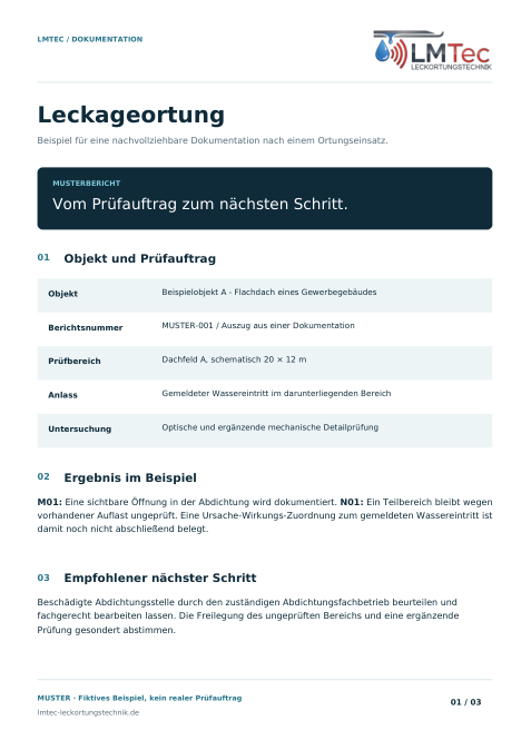 Musterbericht Seite 1: Auftrag und Ergebnis